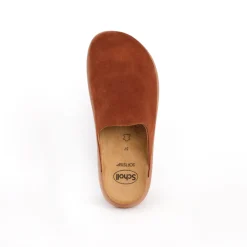 Clog ivy