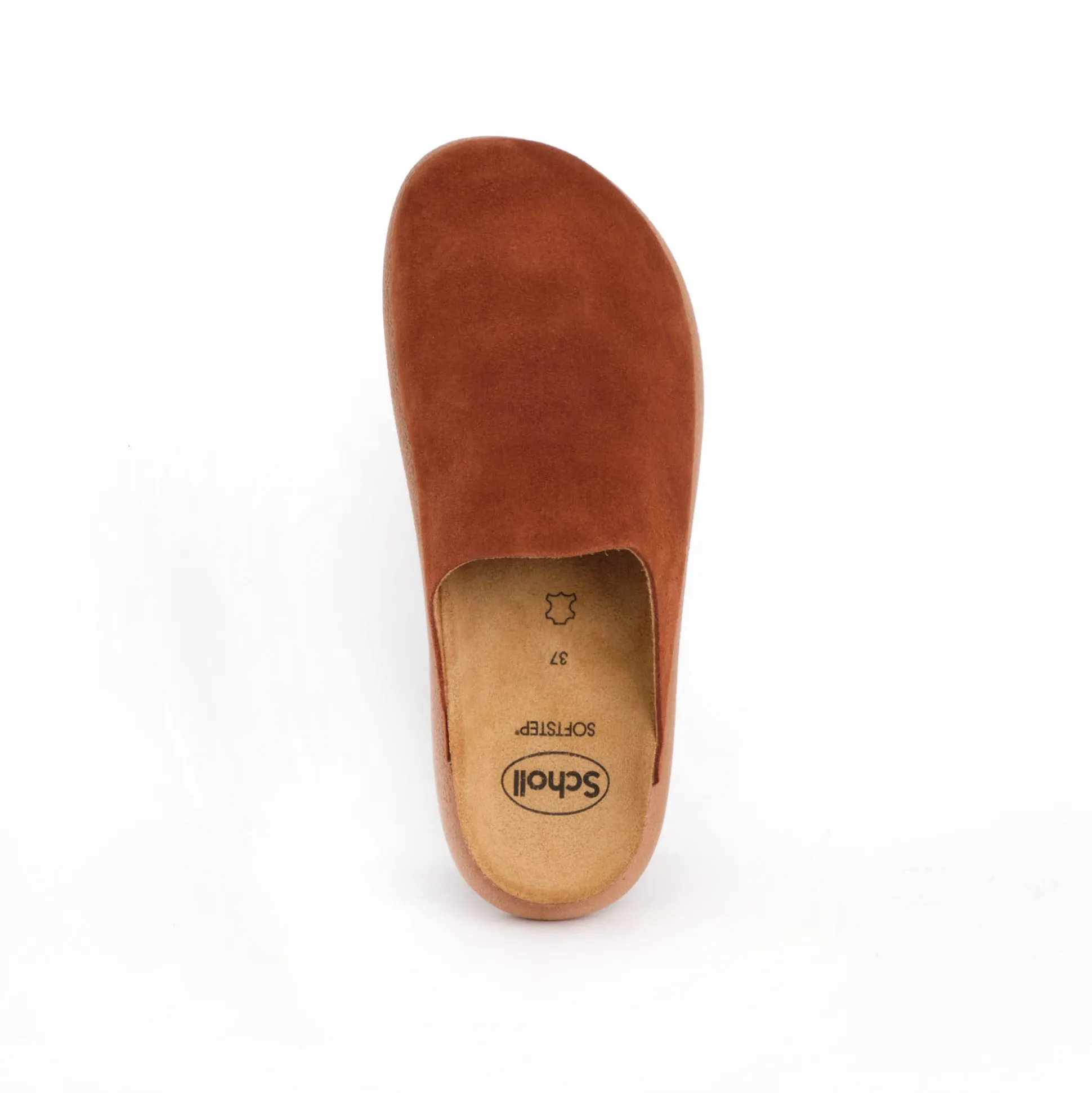 Clog ivy