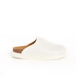 Clog ivy
