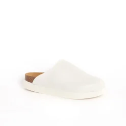 Clog ivy