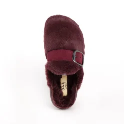 Clog ivy big buckle