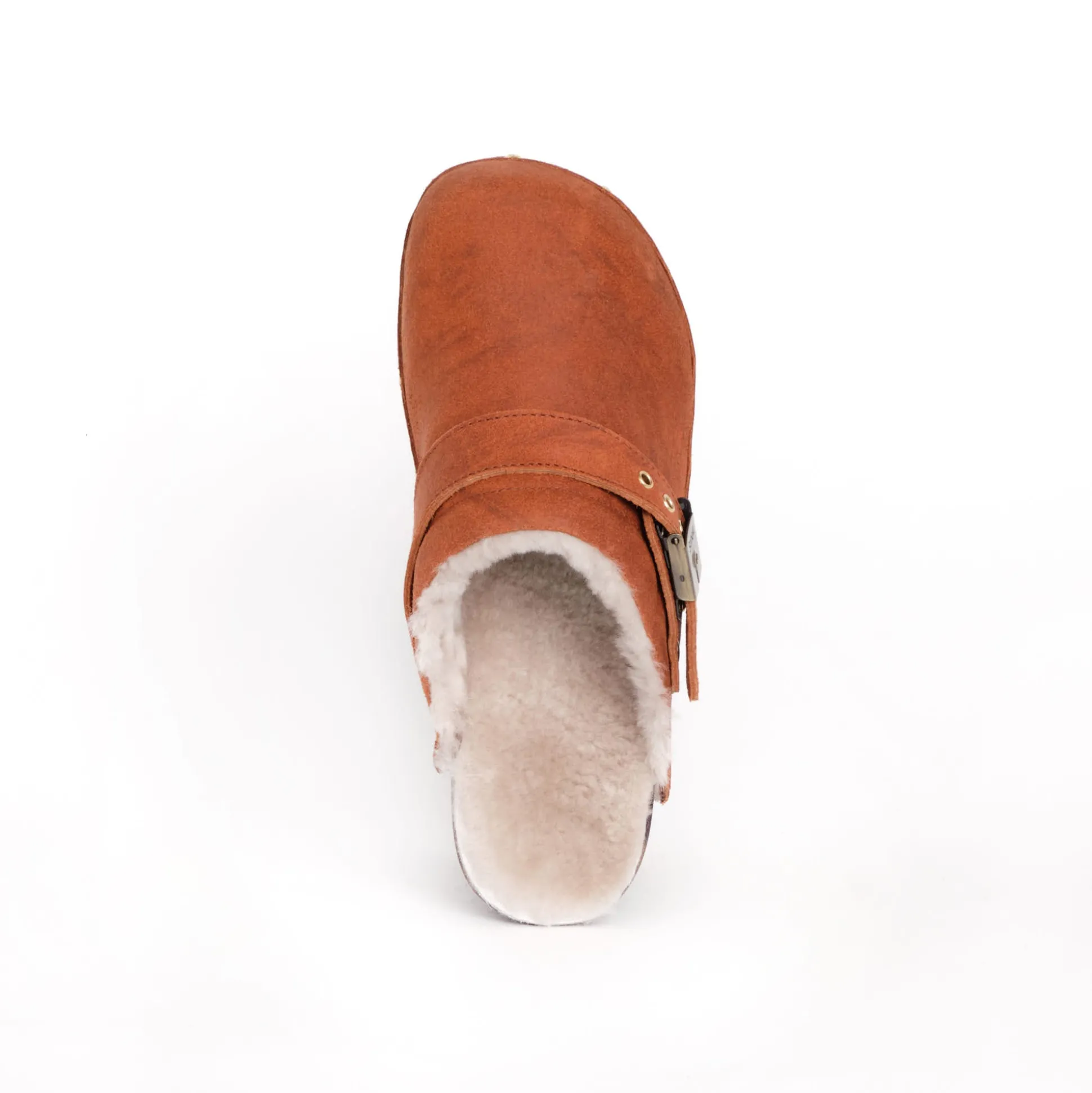 Clog pescura robin