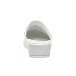 Mules clog backguard