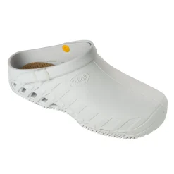 Mules clog evo