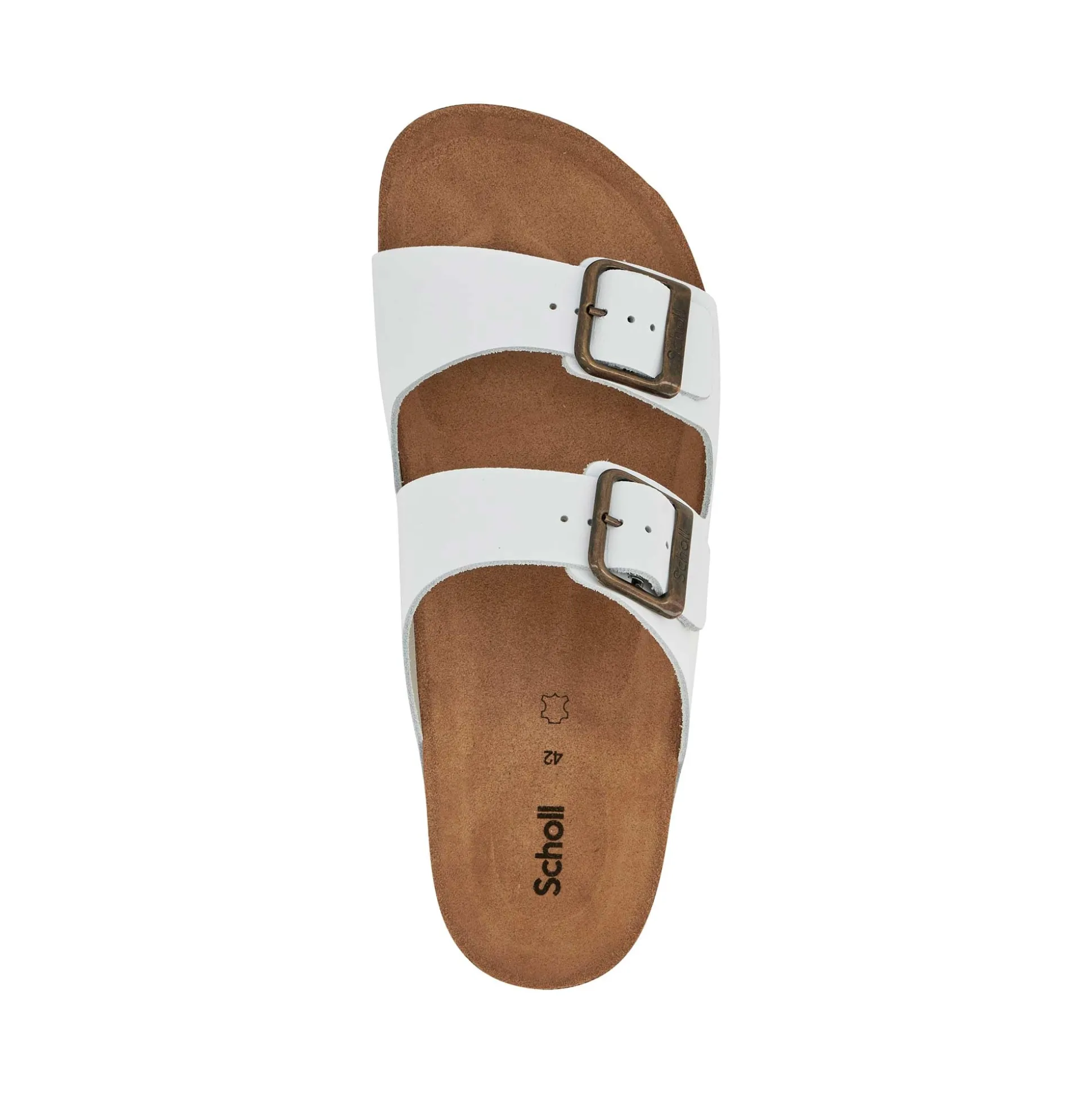 Mules julien new