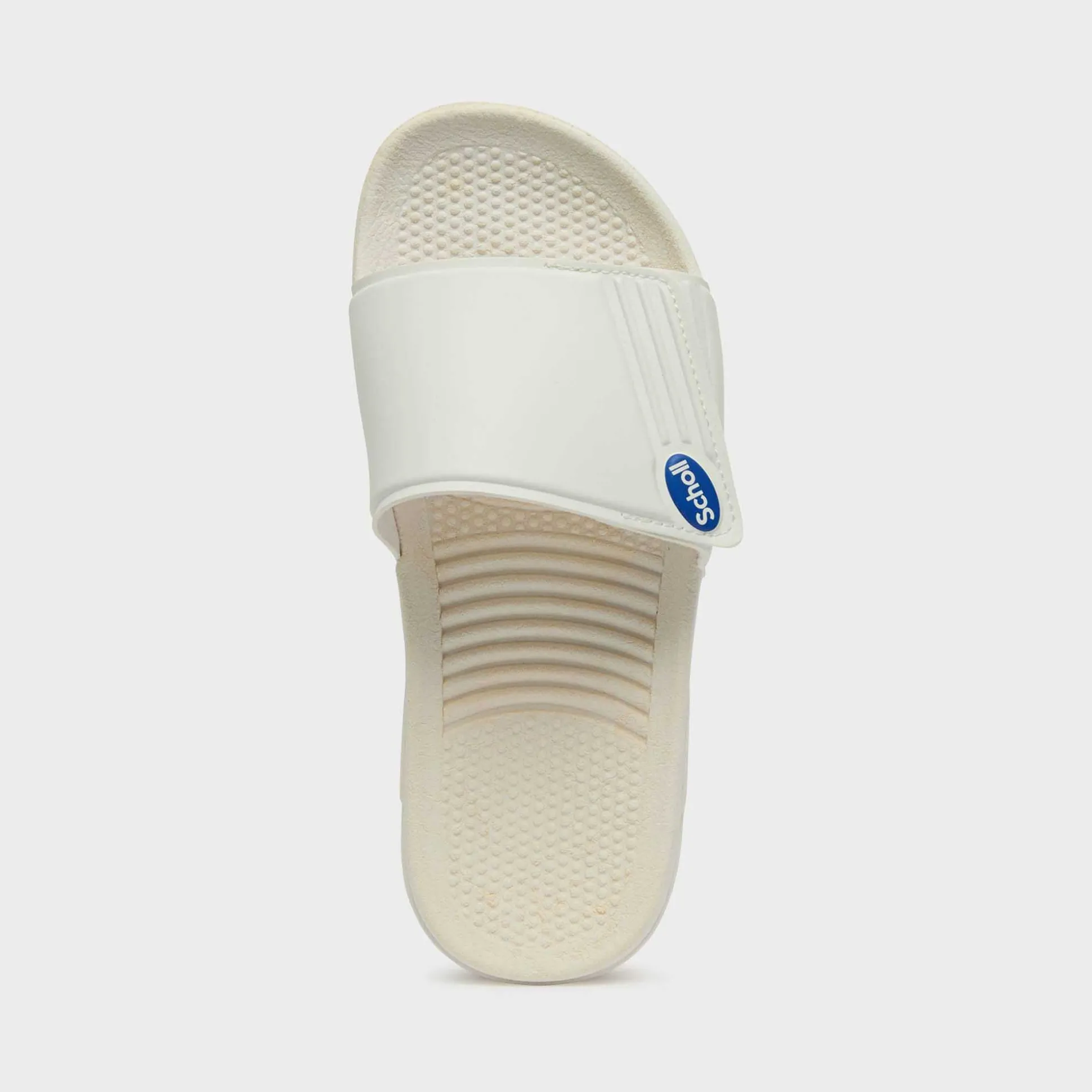Mules scholl nautilus