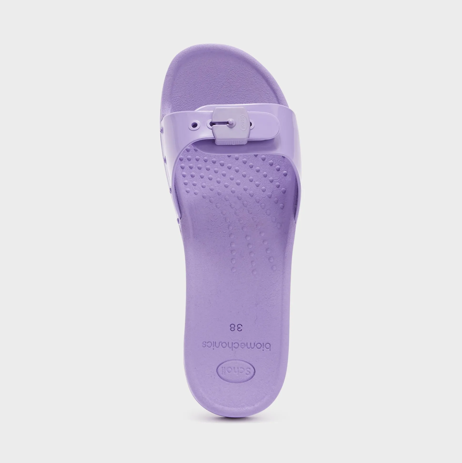 Mules scholl sun