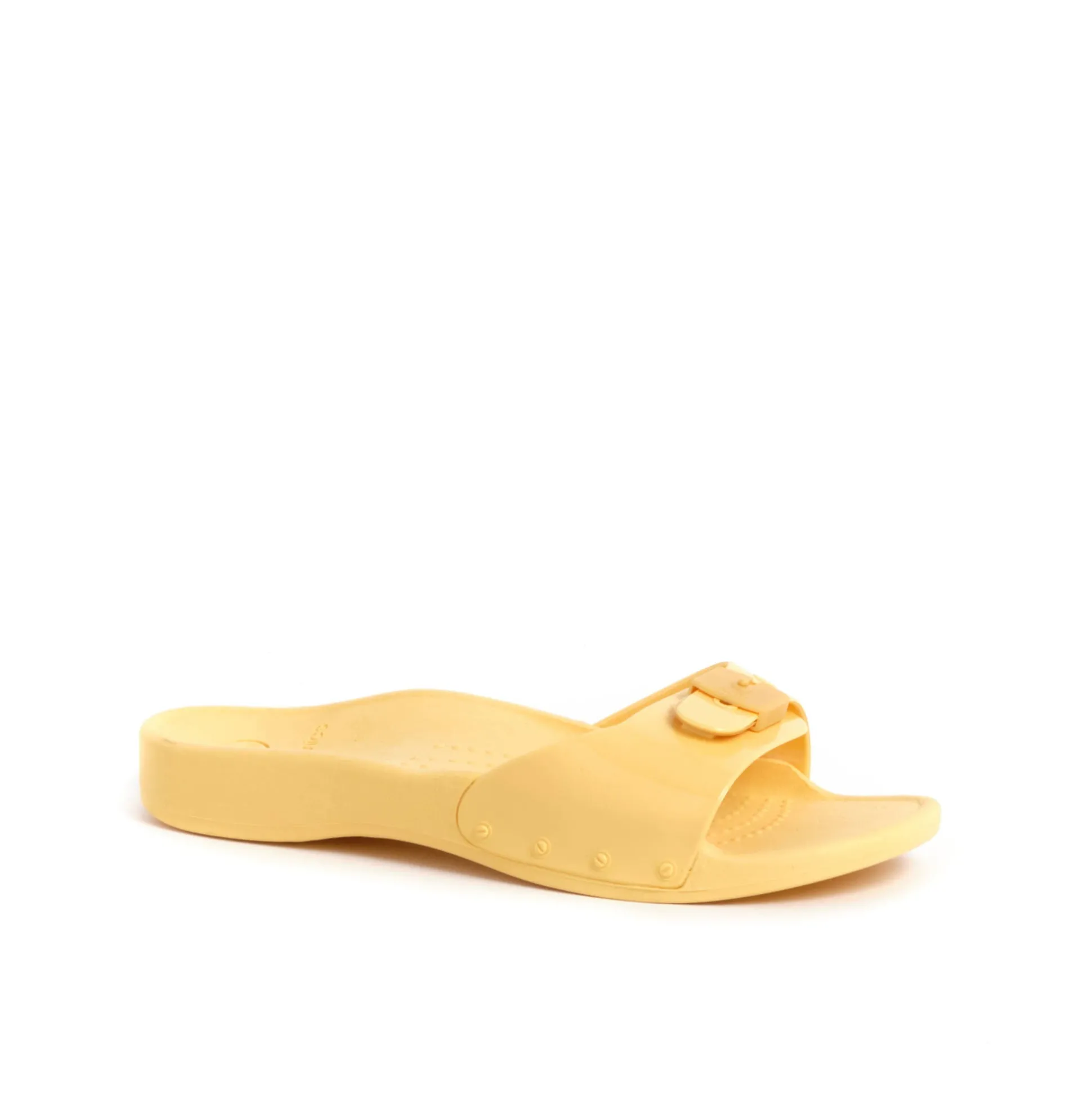 Mules scholl sun