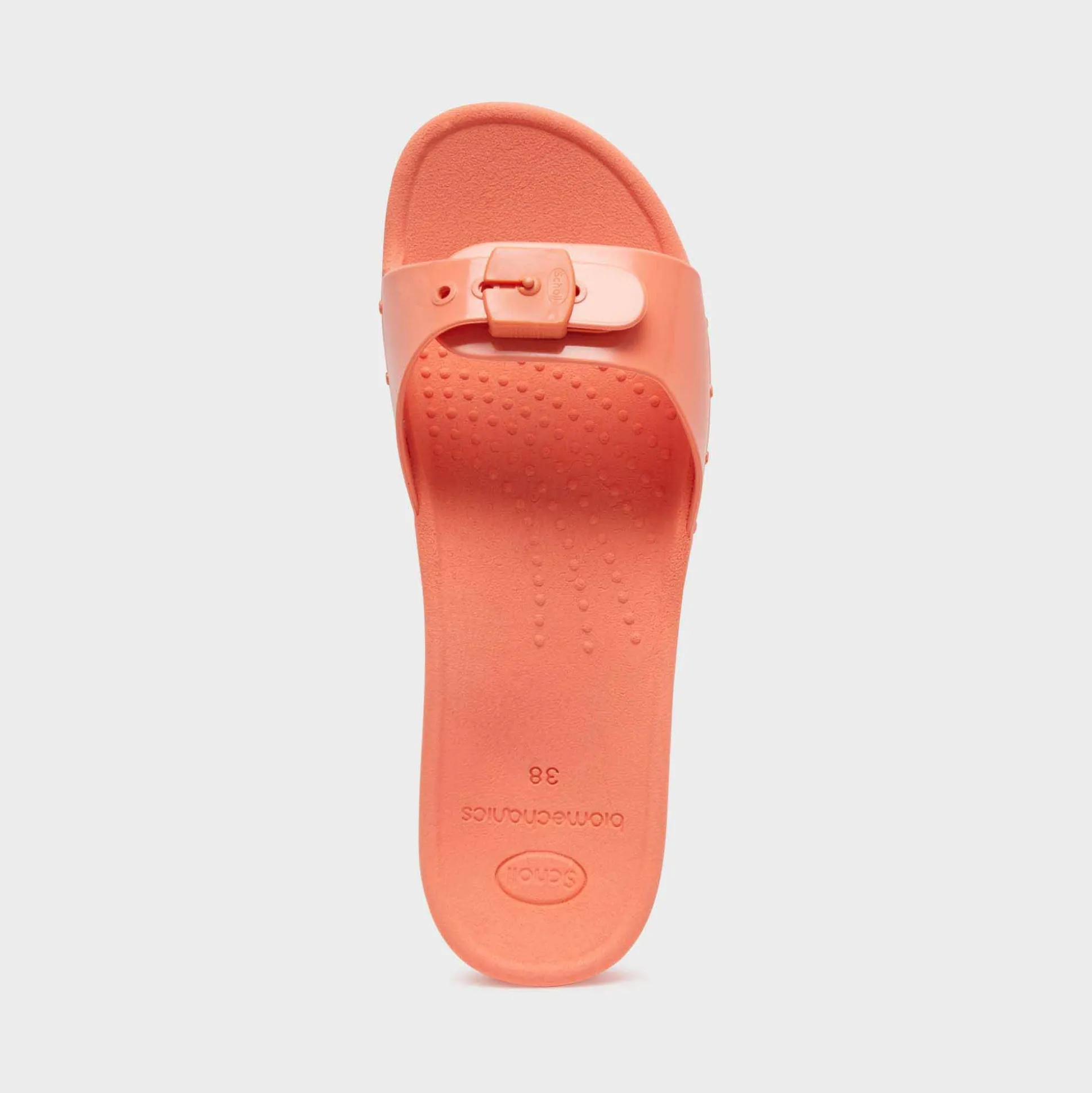 Mules scholl sun