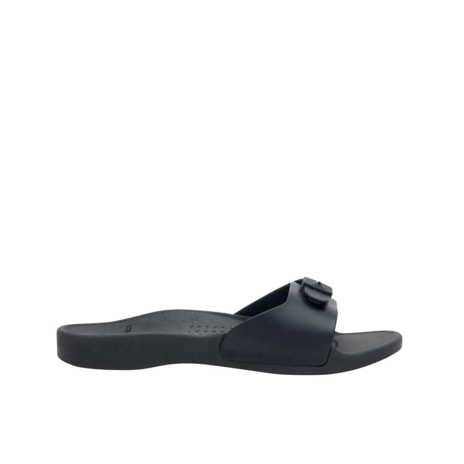 Mules scholl sun
