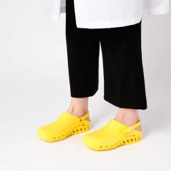 Sabots clog evo