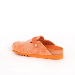Slippers poppy